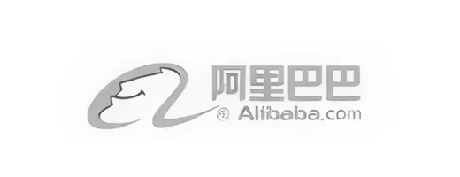 360 Inflatable
15. Alibaba partner logo